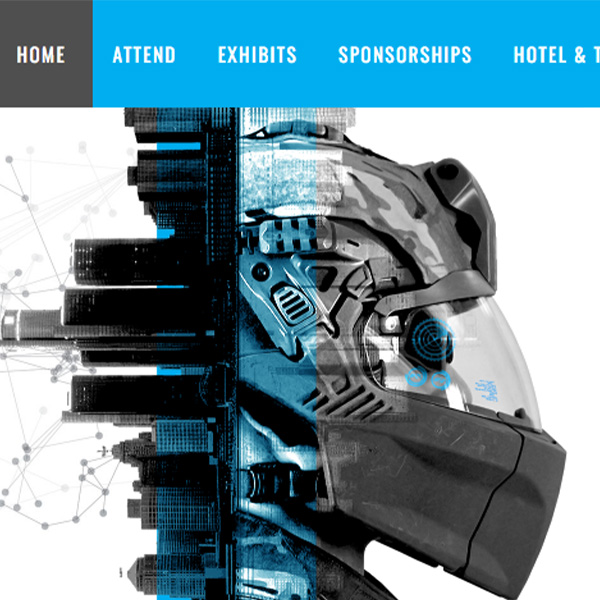 Website design and development, Landeuro Germany website, AUSA